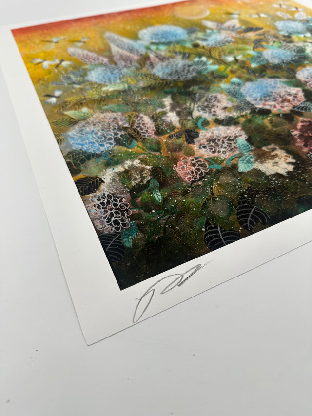 "Life Of Hydrangea" Fine Art Print