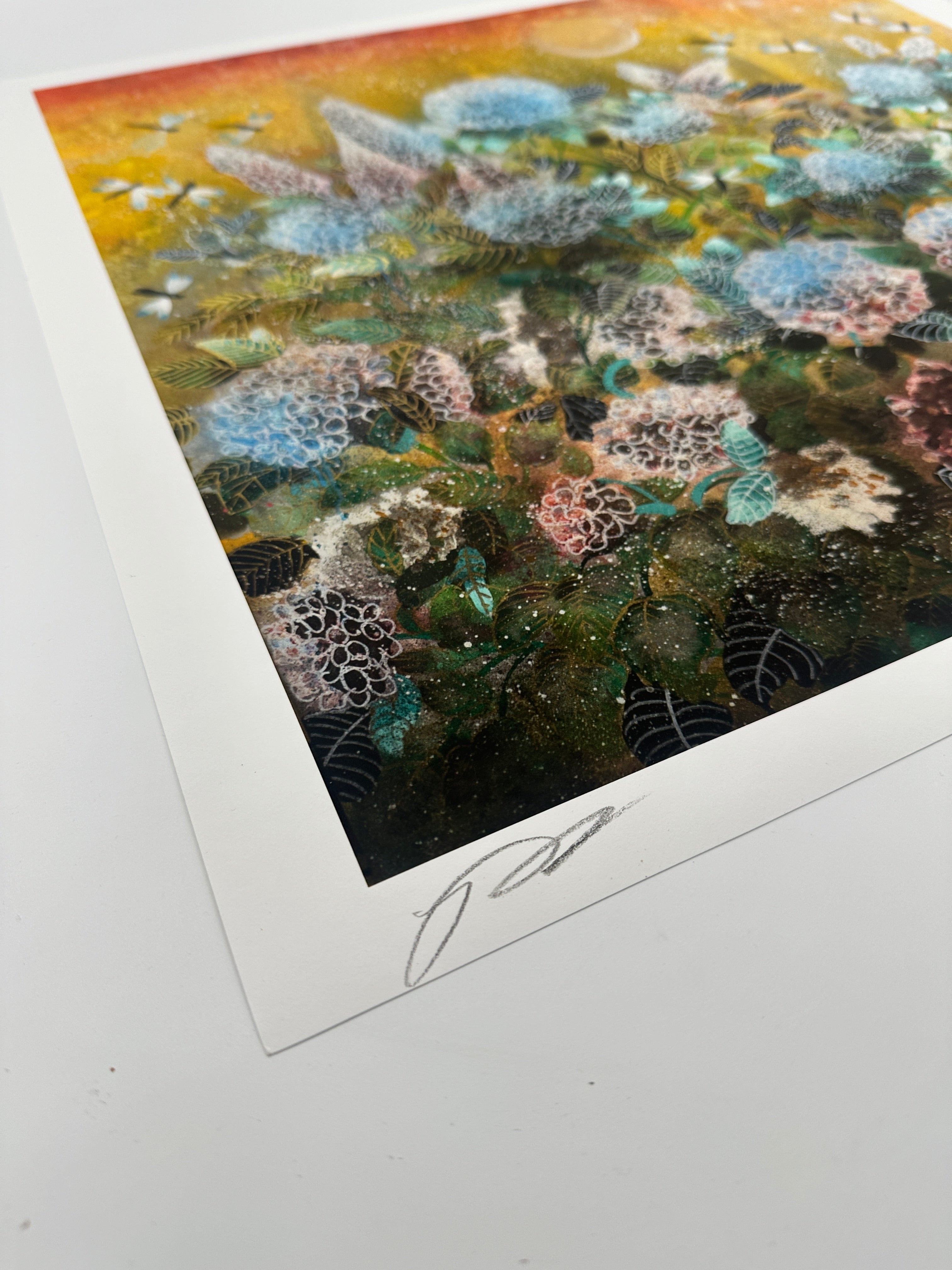 "Life Of Hydrangea" Fine Art Print