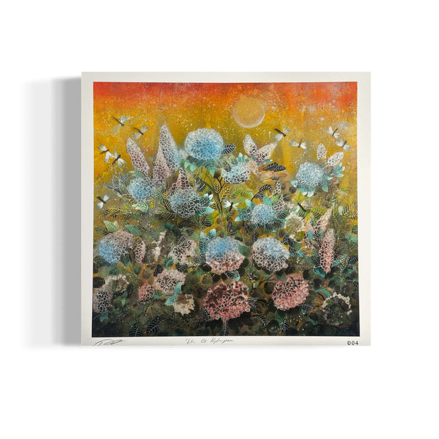 "Life Of Hydrangea" Fine Art Print