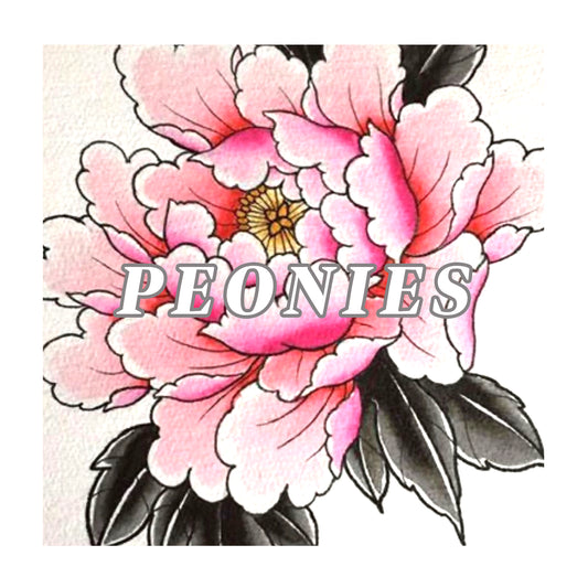 Peonies - 11/16